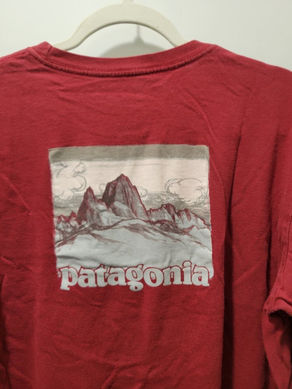 Patagonia LS Men's T Shirt, Medium